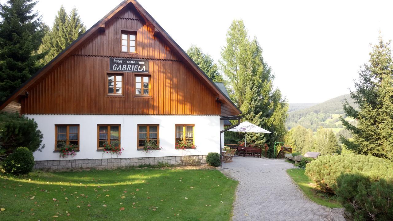 Hotel Gabriela Vítkovice Zewnętrze zdjęcie