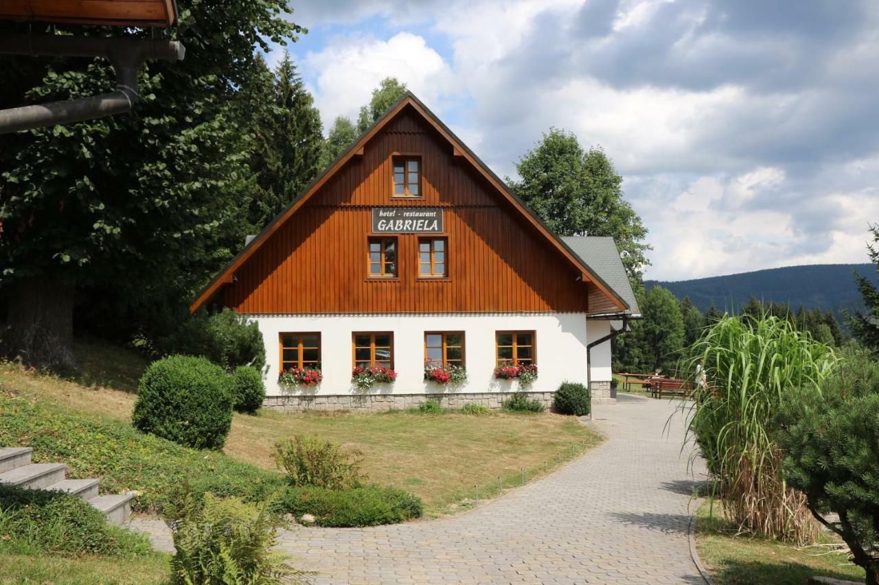 Hotel Gabriela Vítkovice Zewnętrze zdjęcie